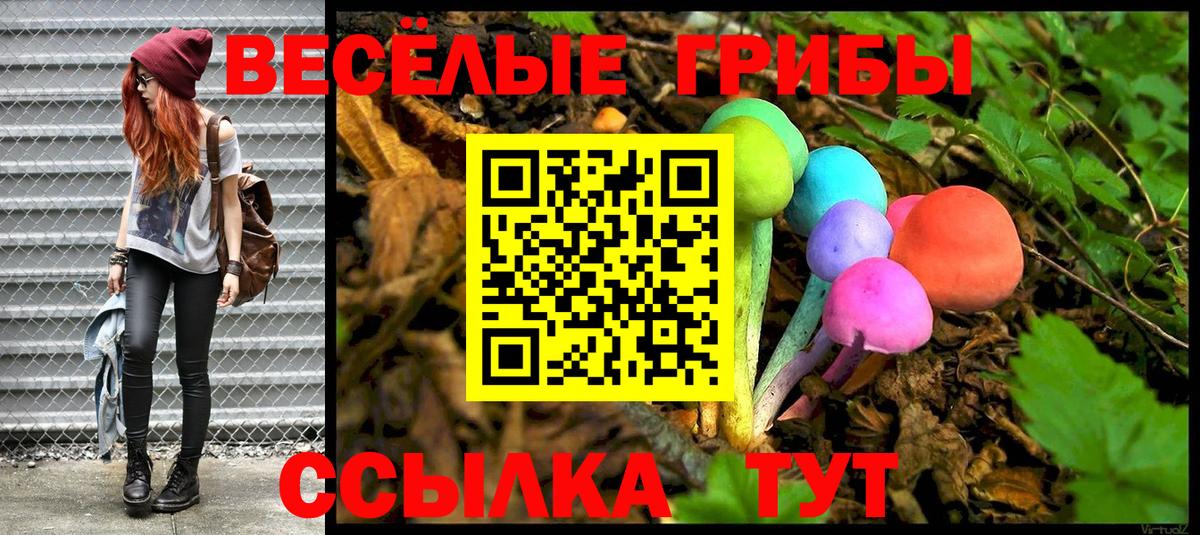 Бугульма  Галлюциногенные грибы Psilocybe  Вход с VPN 