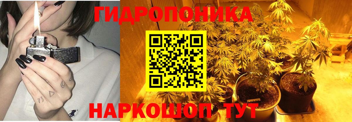 МАРИХУАНА сатива  Бошки Шишки OG Kush  Вход с VPN  Бугульма 